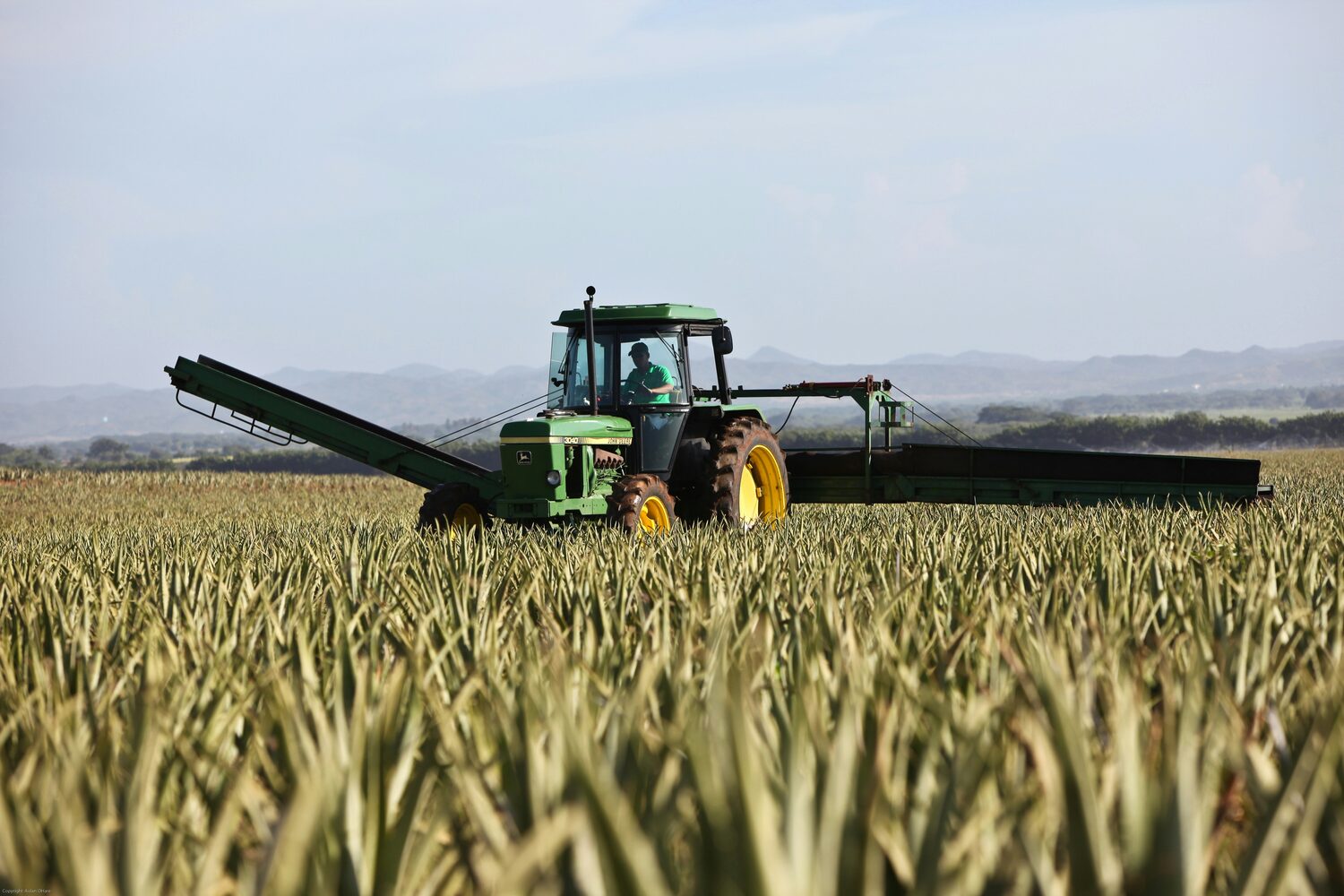 Harvesting a broadacre crop