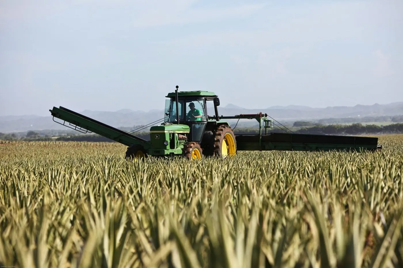 Harvesting a broadacre crop